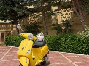 Vespa VXL 150 Satılır,Benzin / Bakı / 2022 ,2400.00 AZN